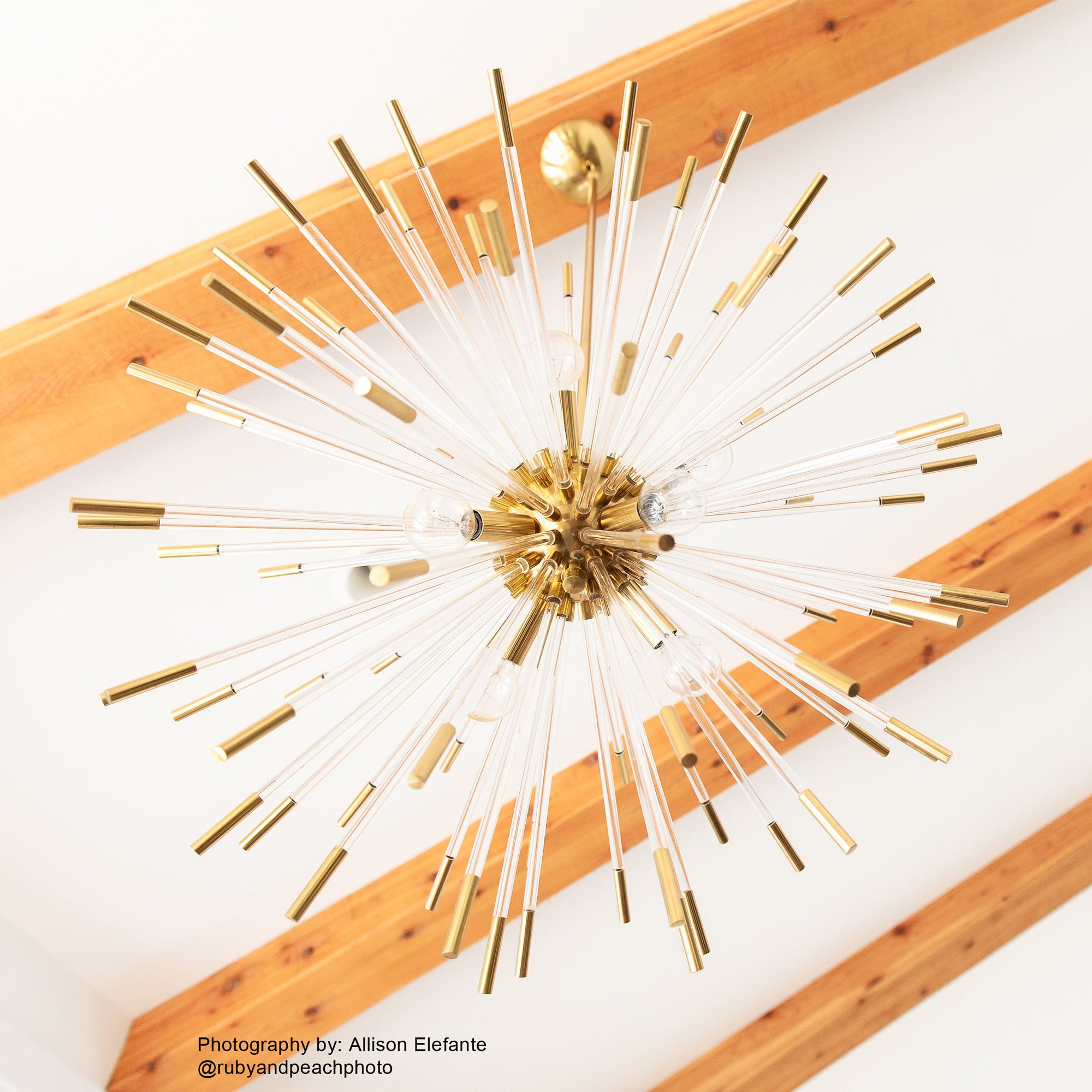 Andromeda Chandelier